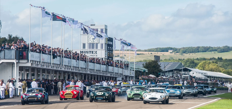 Goodwood Revival race